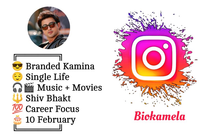 Instagram Bio For Boys