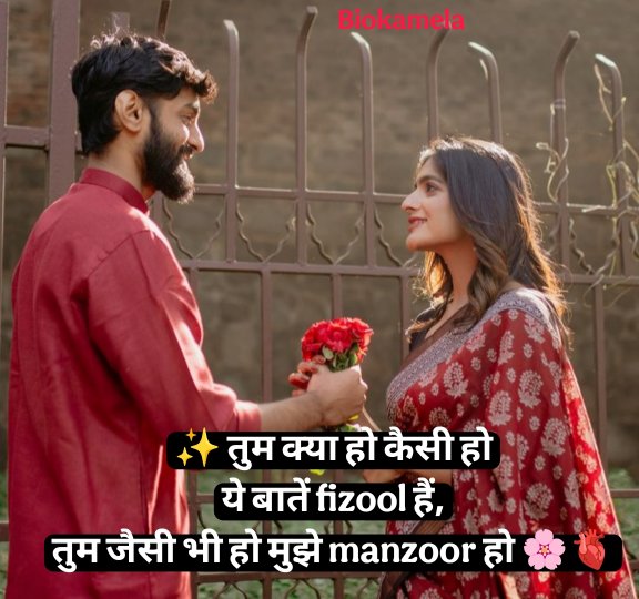 Instagram Bio Shayari