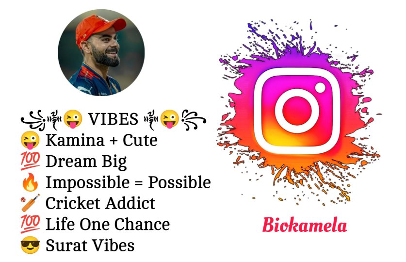 Instagram Bio For Cricket Lovers