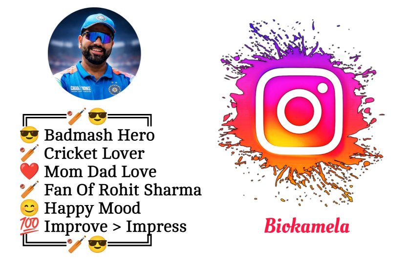 Instagram Bio For Cricket Lovers