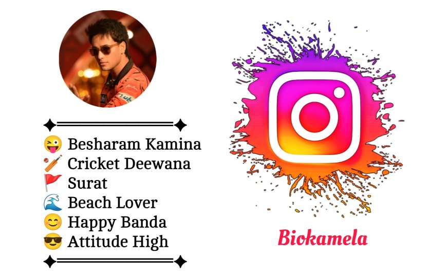 Instagram Bio For Cricket Lovers