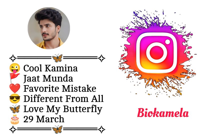 Jaat Bio For Instagram