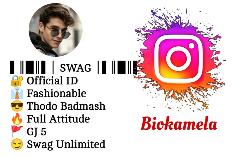 Instagram Bio In Gujarati